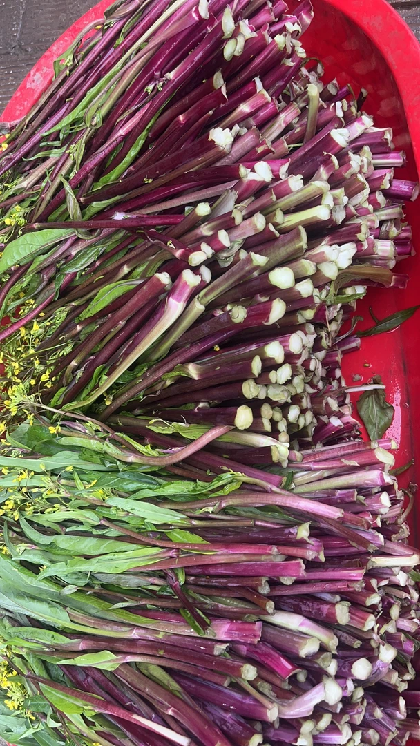 洪湖米之团 精选农家红苔菜白菜苔  4斤 新鲜现摘 顺丰包邮