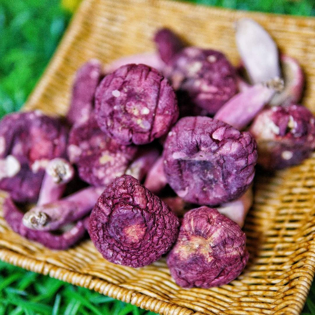 广西浪水野生红菇菇头野生菌菇月子红菇瘦肉汤滋补菌菇