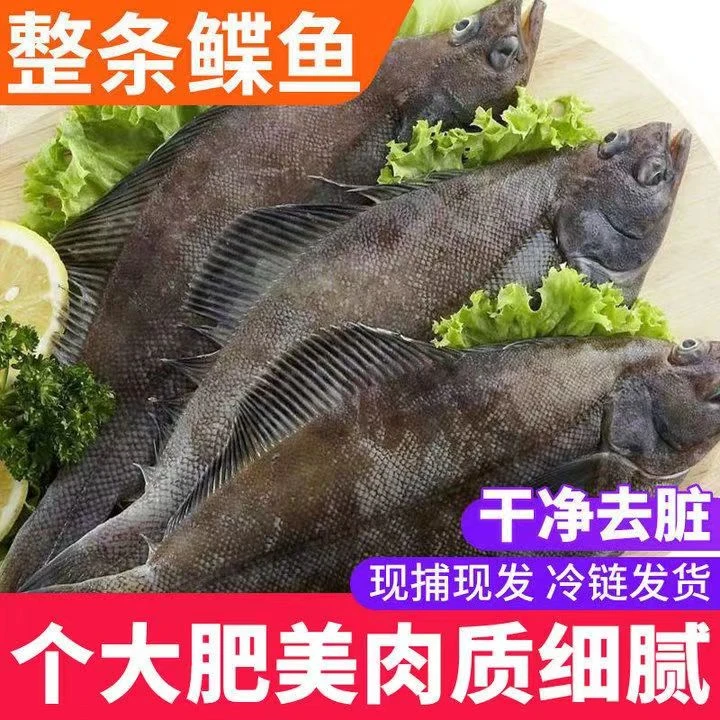【10条装】深海鲽鱼比目鱼大个头干净水域深海鱼单条300g以上