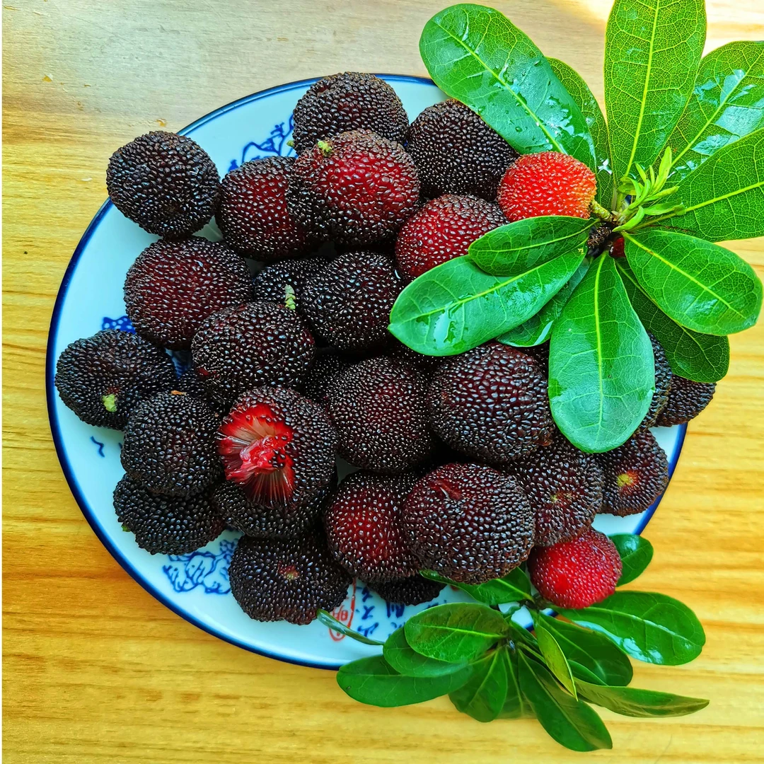 【黑炭杨梅】福建浮宫杨梅酸甜多汁新鲜应季冷链孕妇水果0.5-4斤装