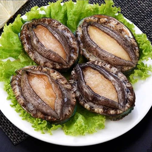 鲜活 大鲍鱼  10只装 (点购物车大小规格可选）