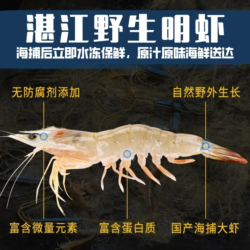 【野生大明虾】鲜活速冻3/5斤速冻野生海捕大明虾速冻特大明虾湛江