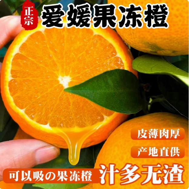 四川眉山爱媛38号果冻橙新鲜现摘当季手剥甜橙孕妇水果橙子包邮