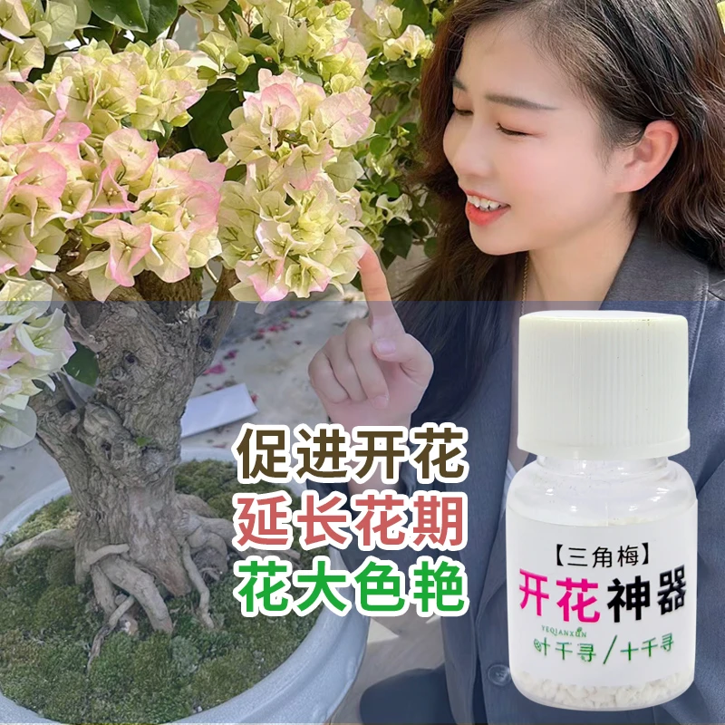 【叶面肥】促花催花延长花期