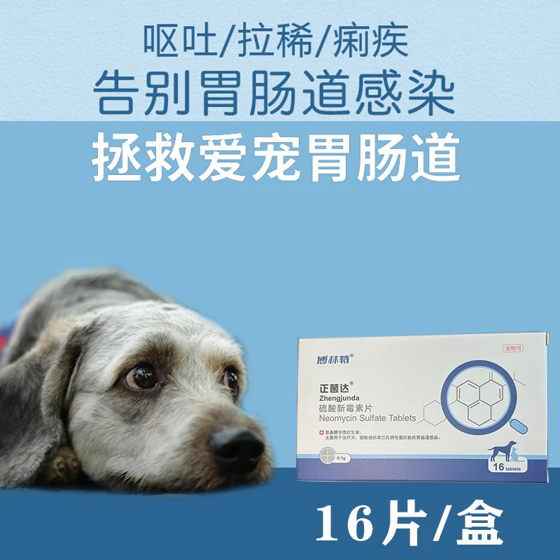 宠物狗狗猫咪拉稀肠炎腹泻水样粪便软便肠胃不适 正菌达