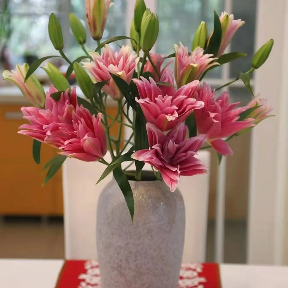 艾琳娜重瓣百合云南基地直发新鲜花材家居办公室水培植物顺丰包邮