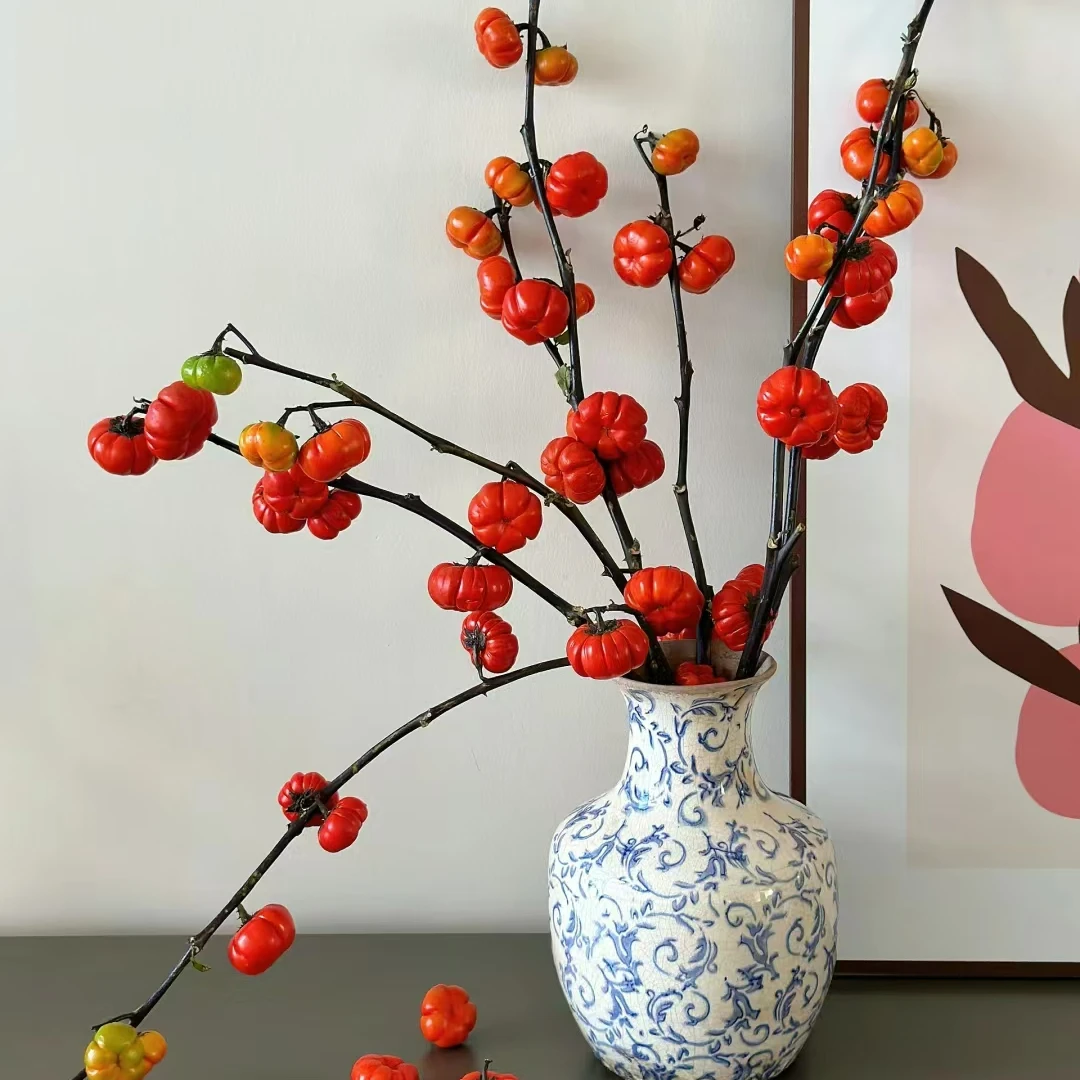 秋日浪漫小南瓜鲜花 美观装饰 简单易养 室内装饰 云南基地顺丰