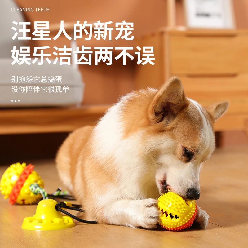 狗狗玩具耐撕咬磨牙解闷神器耐咬吸盘拉力漏食球狗玩具
