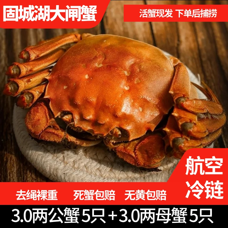 【活蟹】3.0两公蟹5只+3.0两母蟹5只 固城湖大闸蟹精品蟹去绳净重