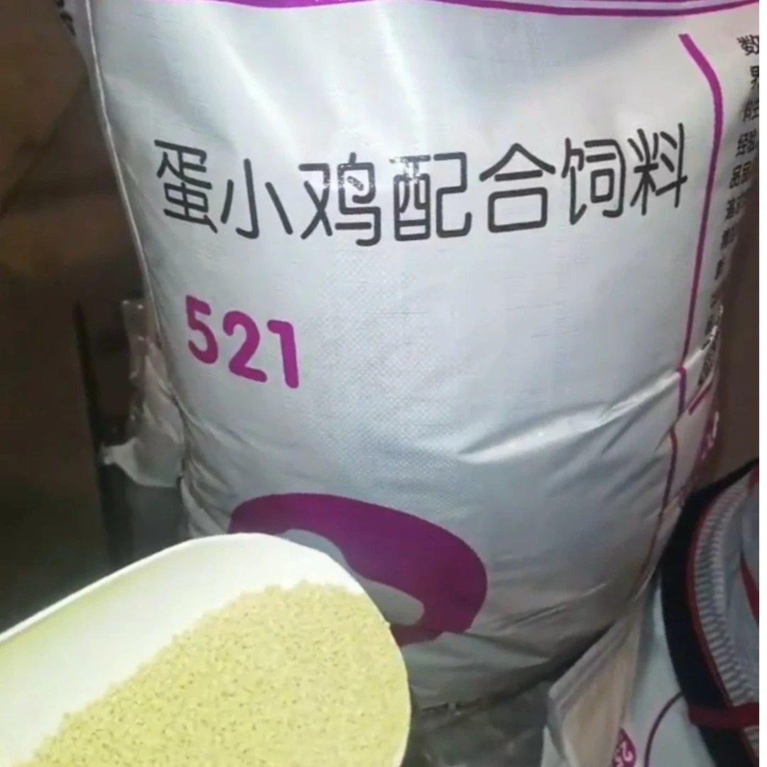 石家庄正大521育雏鸡颗粒饲料鸡鸭鹅垂钓打窝料40斤散装发货小型