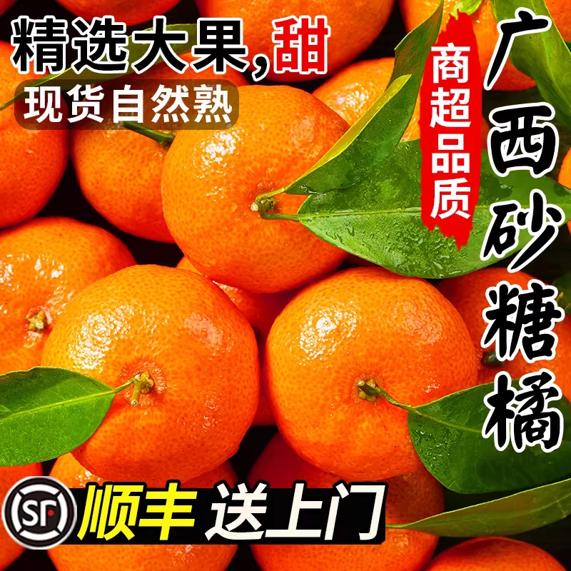 【顺丰包邮】正宗广西砂糖橘当季新鲜水果柑橘现摘现发皮薄多汁纯甜