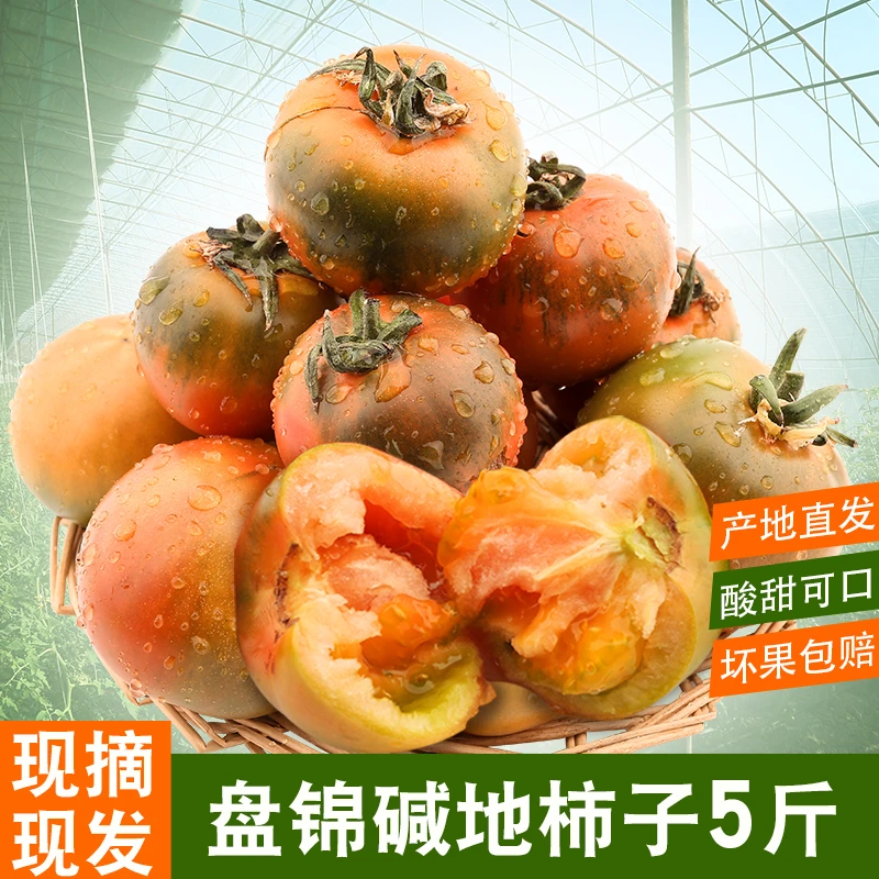 顺丰包邮5斤自然熟铁皮草莓柿子盘锦碱地西红柿多籽番茄水果