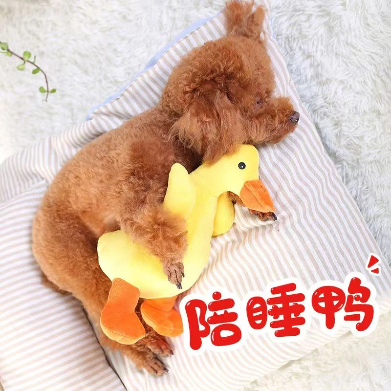 狗狗玩具解闷神器发声发泄磨牙耐咬小狗幼犬泰迪柯基柴犬金毛宠物