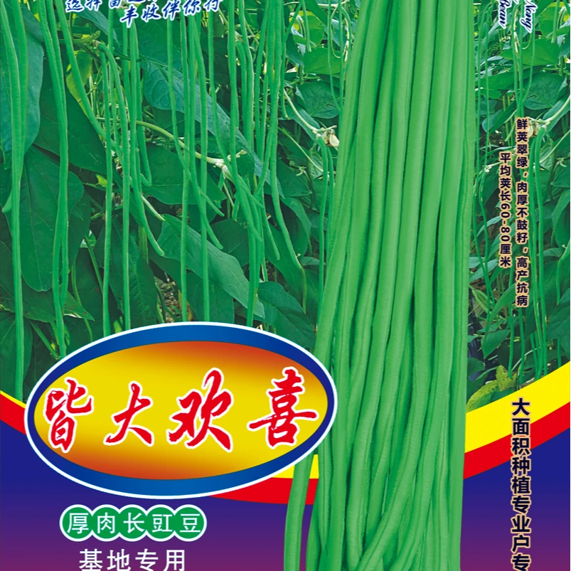 富连农皆大欢喜(一举成名)翠绿条肉厚高产豇豆种子