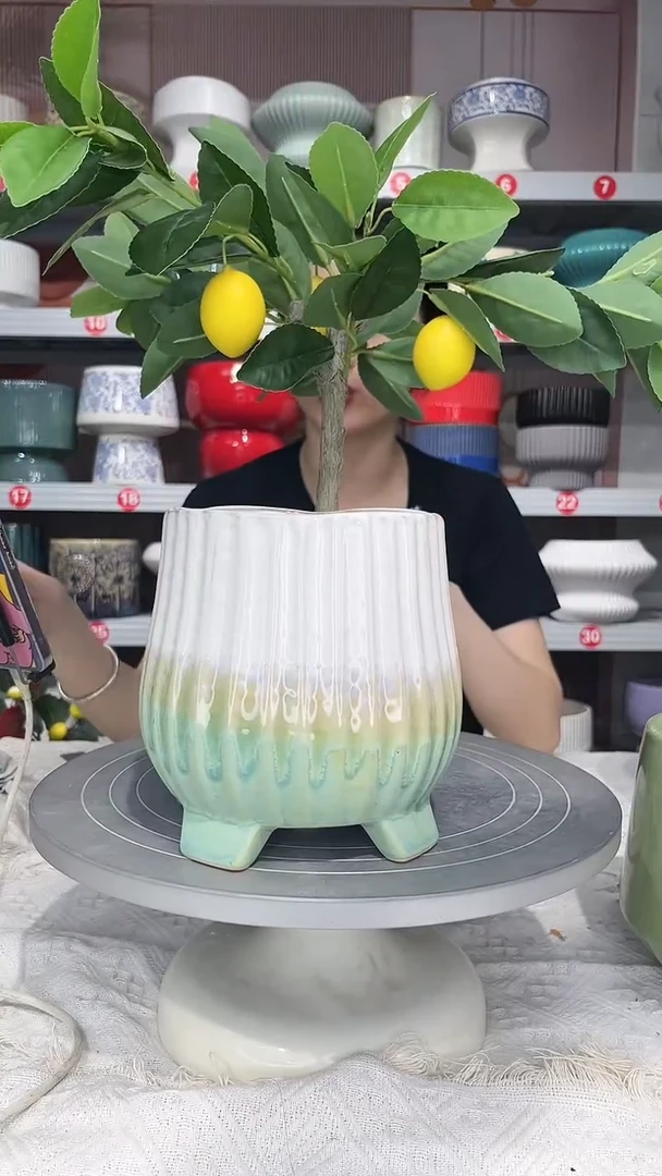 【闪购商品】陶瓷20CM以下高温陶瓷花盆-12*15绿麒麟