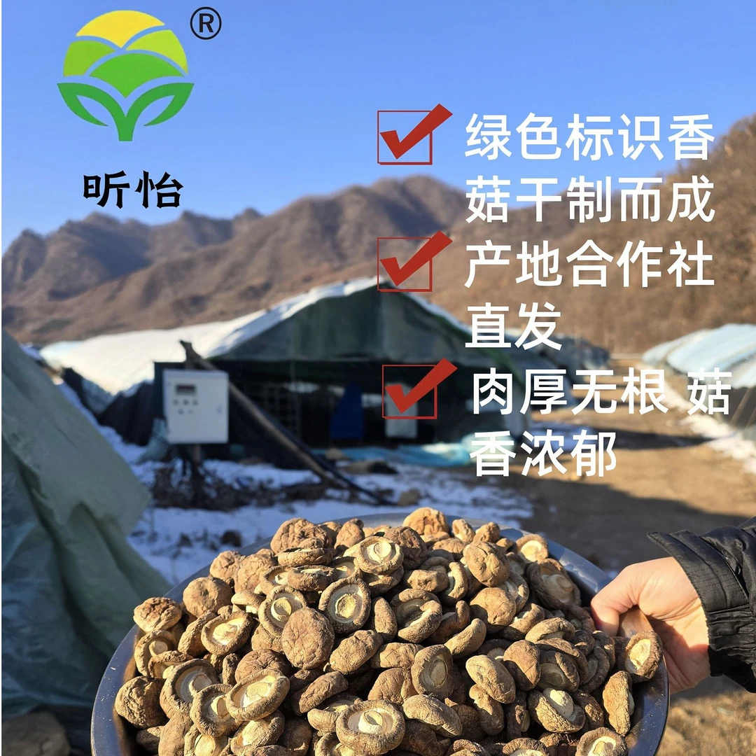 干香菇新鲜干香菇产地直发香菇干货干货蘑菇绿色香菇产地直发