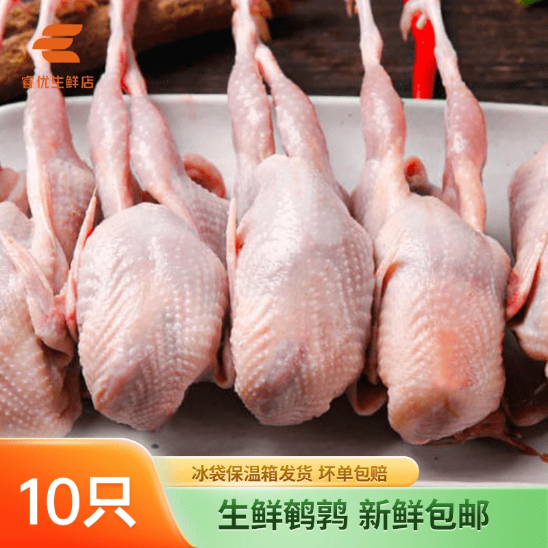 生鲜鹌鹑10只包邮新鲜白条冷冻鹌鹑鸟新鲜现杀速冻商用烧烤煲汤