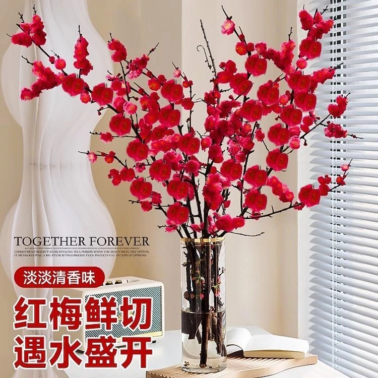 红梅鲜枝遇水四季开花绿梅花泡水开花雪柳鲜切干树枝室内水培饰品