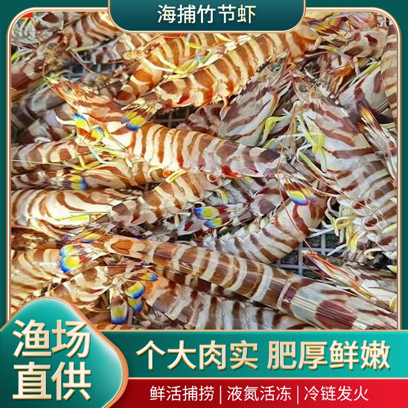 舟山海鲜九节虾鲜活速冻自家渔船海捕深海大斑节虾足斤足两500g