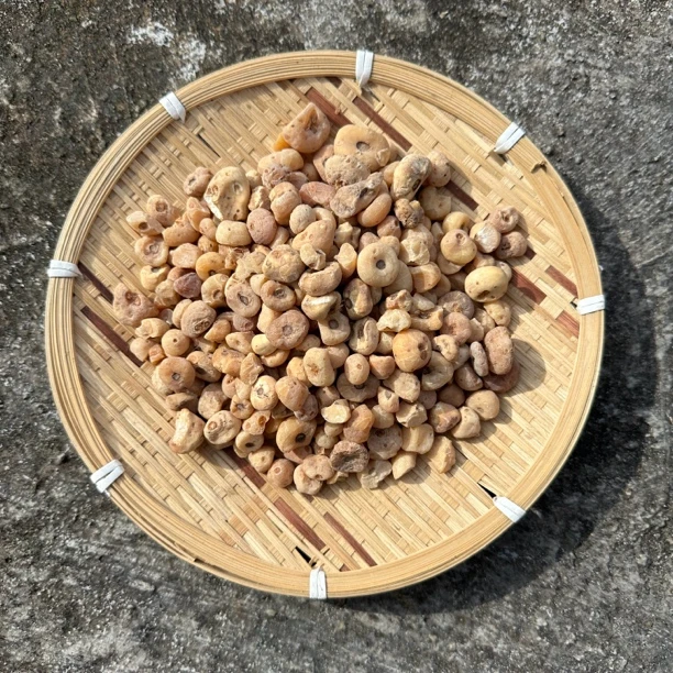 超超山珍【玉-黄-丹】 非菇