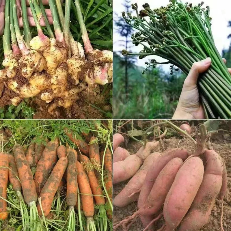 【蔬菜类】湖南赶集农产品