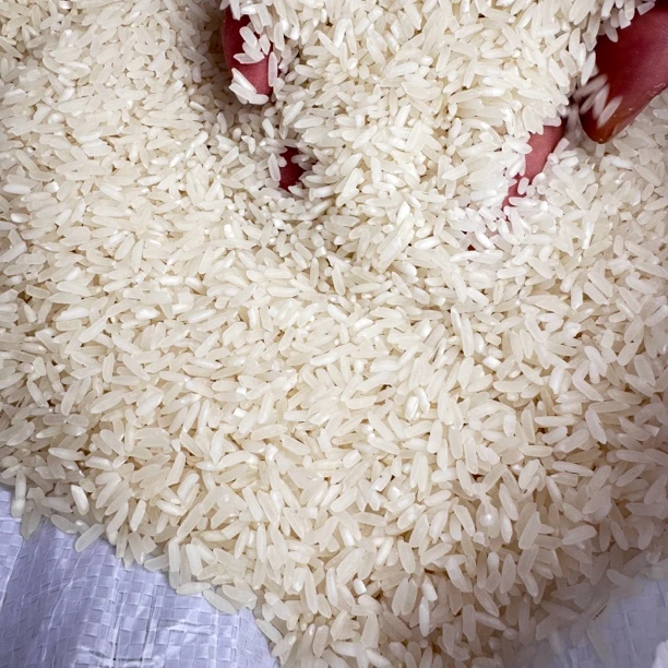 5斤装 泰顺单季高山大米 2025新米