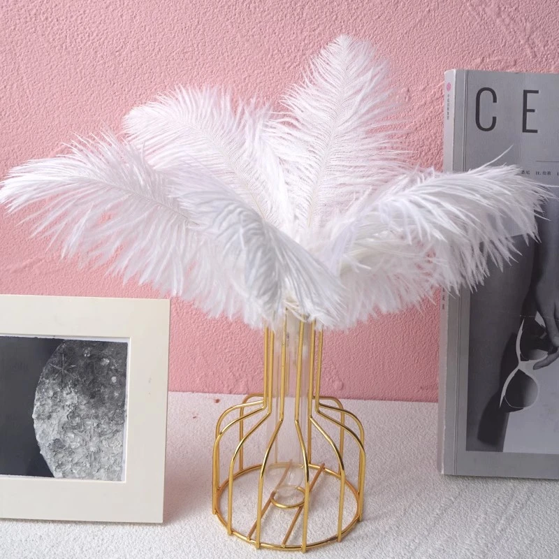 大羽毛装饰白色长鸵鸟毛毛绒抽象拍照道具粉色网红墙客厅摆件