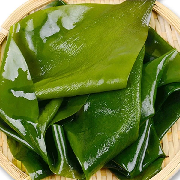 【福利】盐渍大海带 带箱(5斤/箱)
