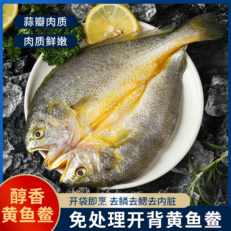 新鲜速冻黄鱼鲞开背大黄鱼250g*6条鲜嫩冷冻三去黄花鱼