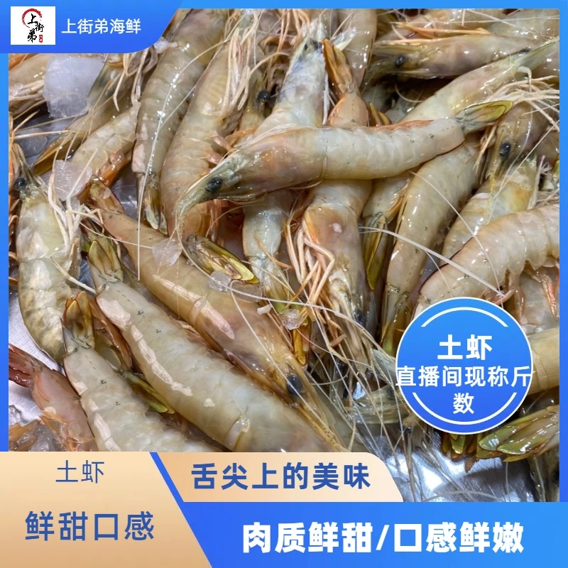 【新鲜沙卢虾】上街弟推荐 土虾/沙虾/海水虾 肉质鲜甜嫩 2/3斤装