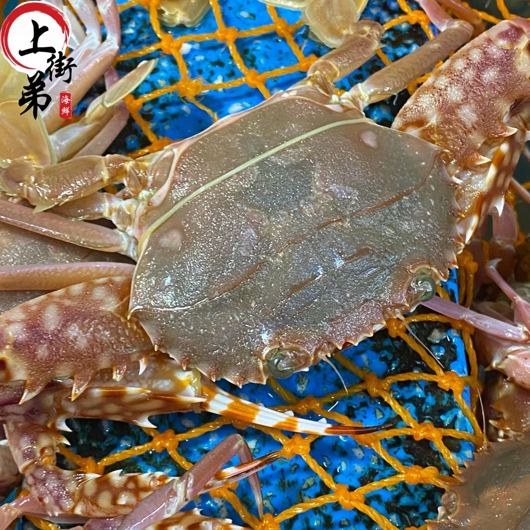 【上街弟海鲜】【保鲜不保活】天然红丹蟹 单只一两以上 3//4/5斤装