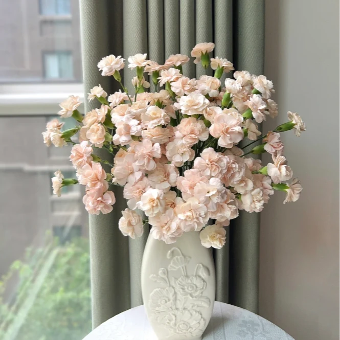 【独鬏鬏优选】高品质  [莫言] 多丁康乃馨 家居瓶插装饰鲜活鲜切花