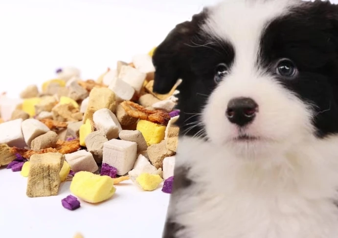 现场展示产品—犬粮