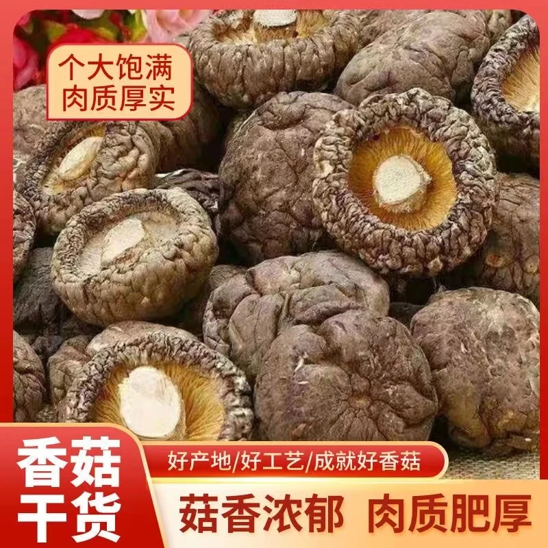 福建原生态香菇 自种大香菇干 厚肉无根香味浓郁食用天然新鲜方便