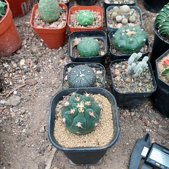 【闪购商品】3333333