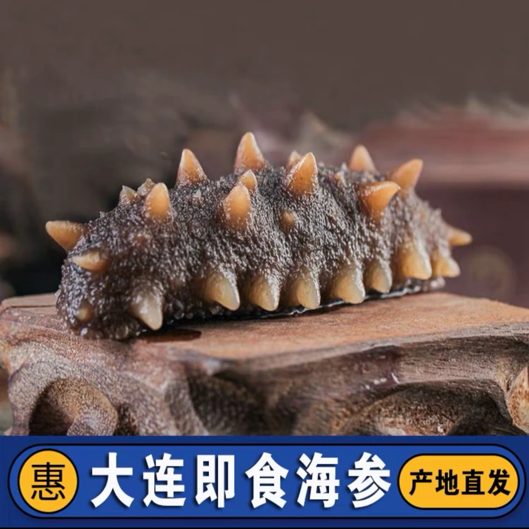 11-13头左右/一斤 口感Q弹 【大連直发】即食海參无添加