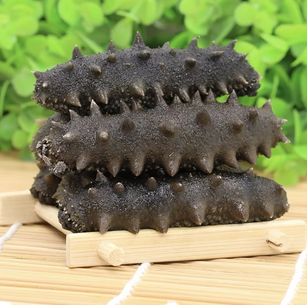 【盐渍海参】 本土海參42头左右 500g 半干海參  大连直发