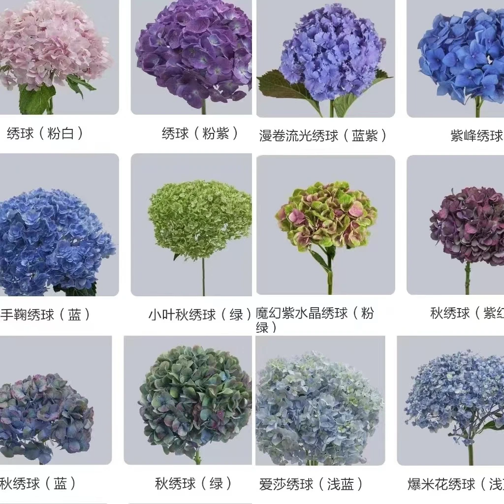 龍元绣小花花一物一拍3枝冷链4枝空运(拍下勿退)