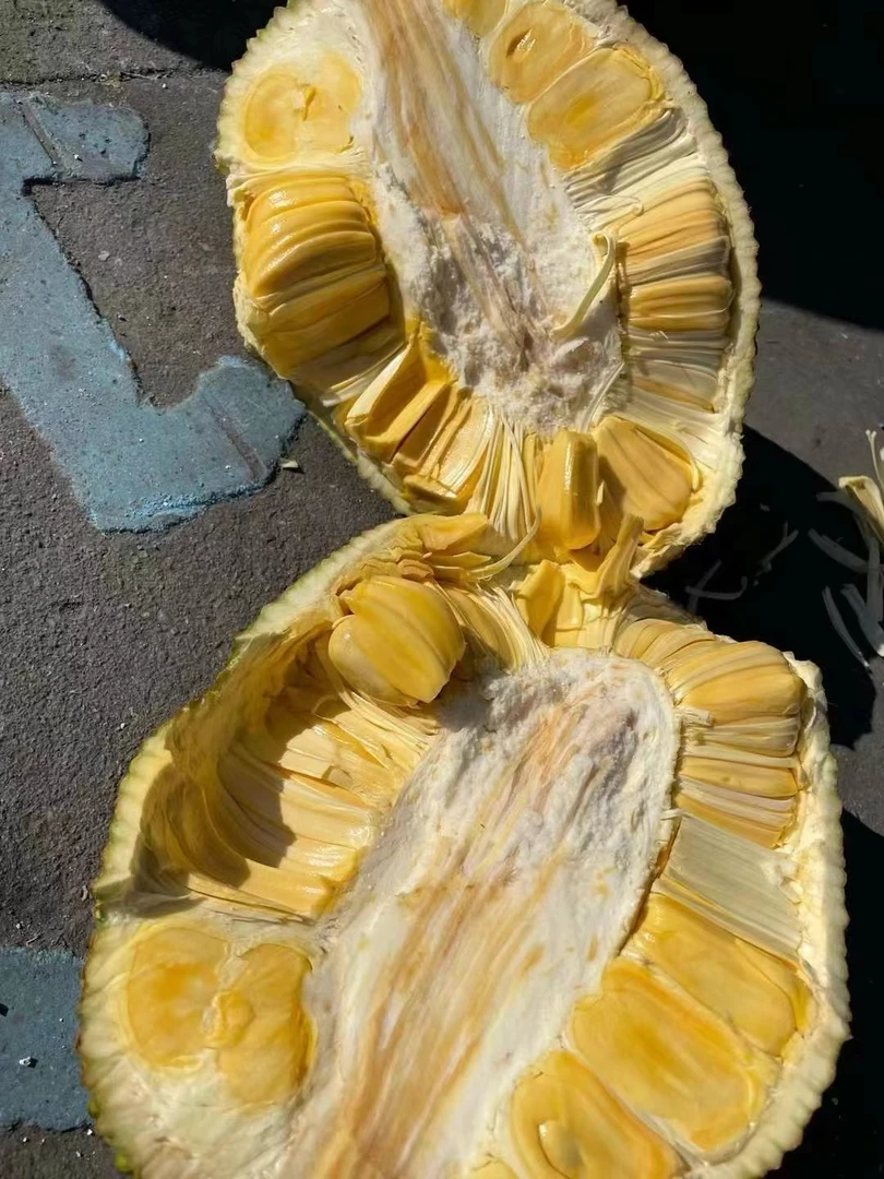越南红肉菠萝蜜整果（纯A果包品质熟度）58元一个！