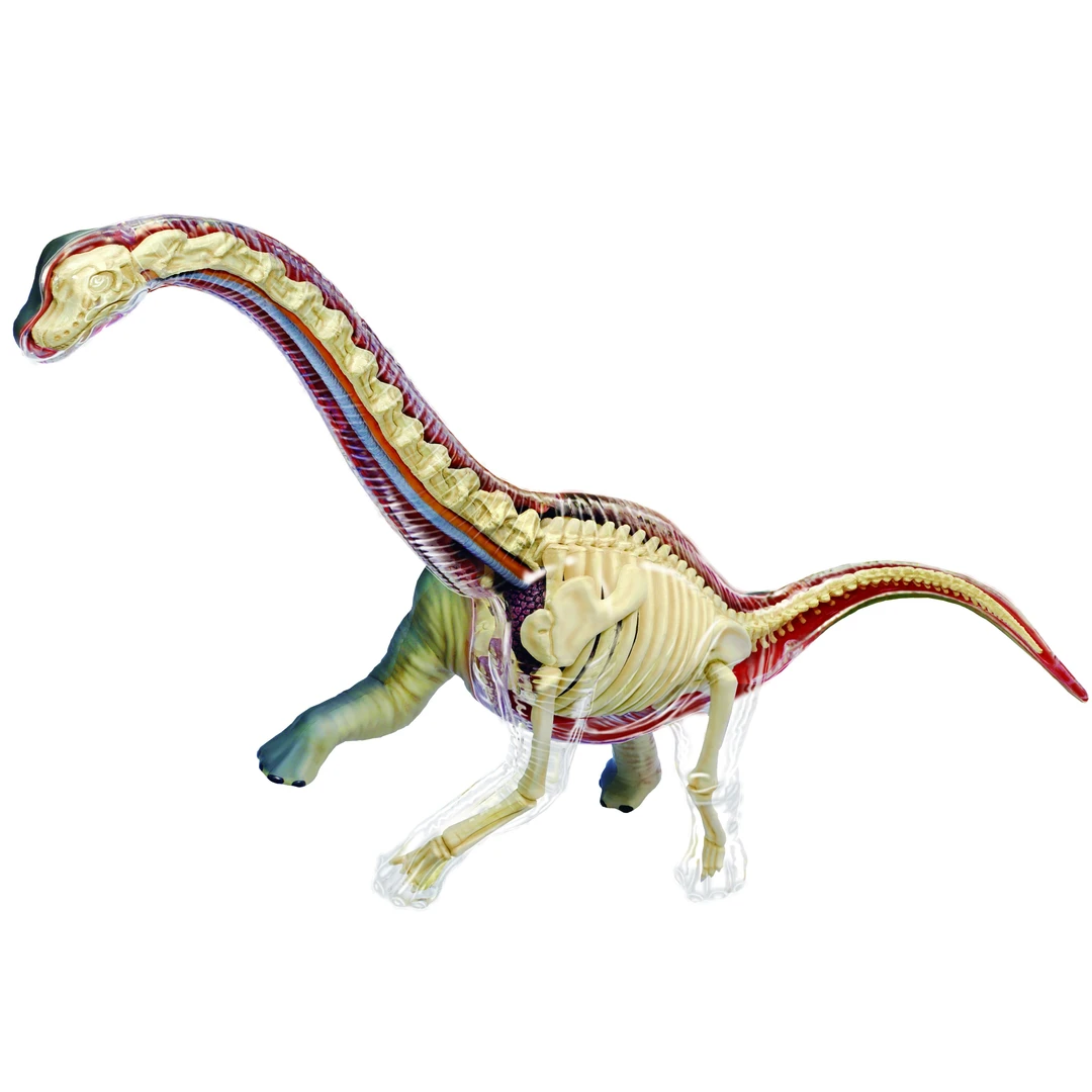 4D MASTER4D vision系列 恐龙 腕龙拼插模型玩具 恐龙骨架 27.5CM