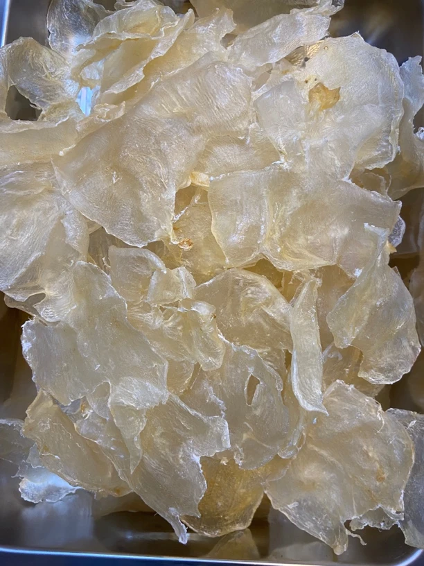 【蝴蝶胶】海鱼胶斑鱼胶