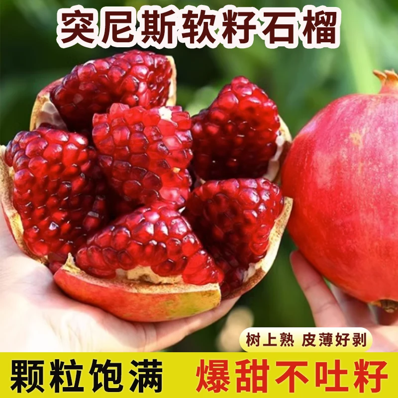 【精品果】四川会理突尼斯软籽石榴精选颗粒饱满营养清甜香甜爆汁