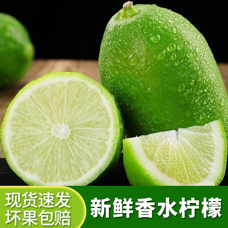 云南无籽香水柠檬（子弹头）产地现摘3斤单果50-70g小果独立包装