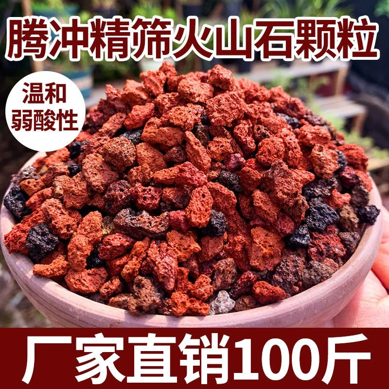 天然火山石颗粒10斤腾冲精筛黑红火山岩多肉铺面花园鱼缸过滤造景