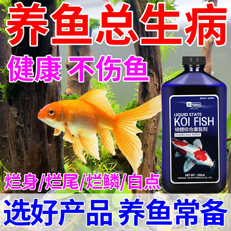 鱼病养鱼专用烂身烂尾白点白毛水霉锦鲤金鱼池消毒杀菌消炎康复鱼
