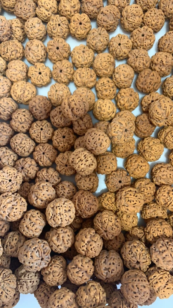 尼泊尔大金刚菩提，改价专用，备用链接，勿拍！！！！！