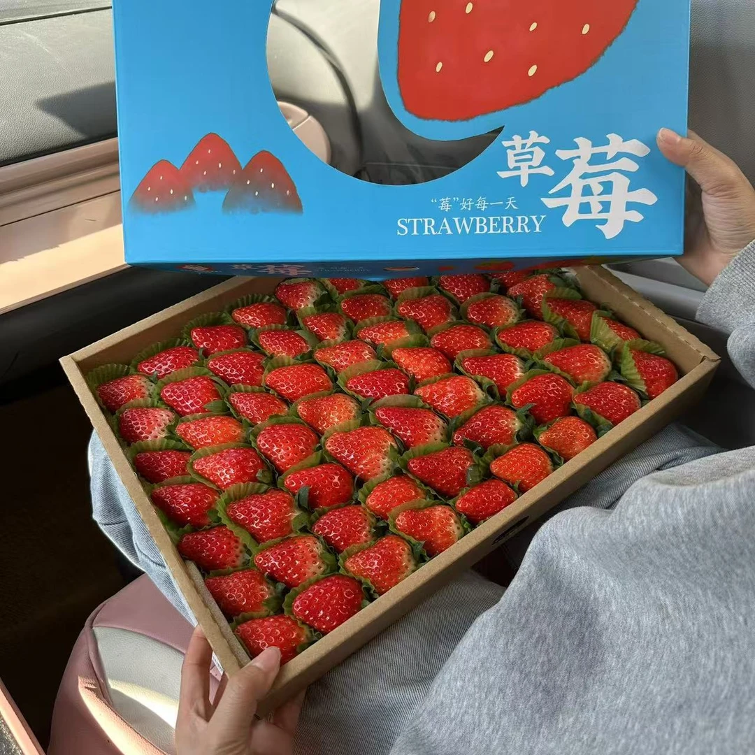 [玉溪同城]奶油草莓精品果大果礼盒装约3斤