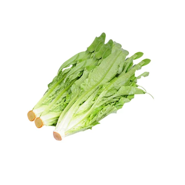 【折扣钜惠】油麦菜 约250g