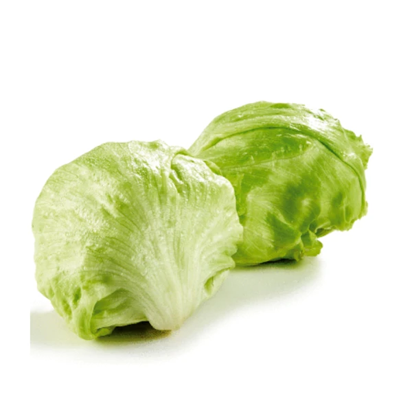 球生菜/圆生菜 1个