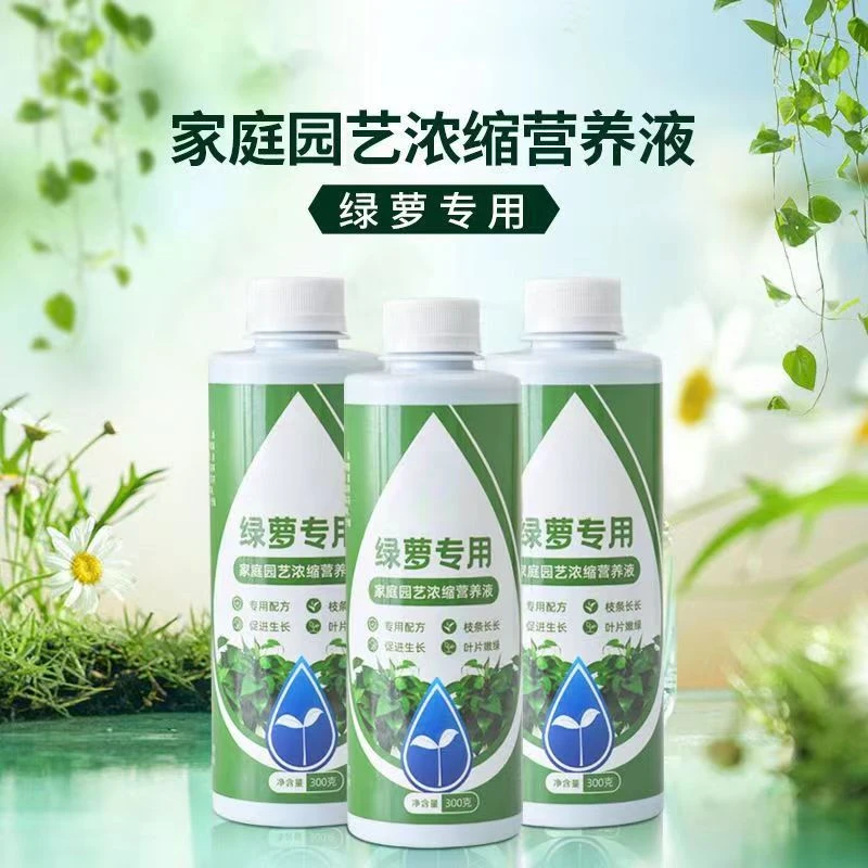 绿萝专用营养液植物营养液通用型枝叶植物水养促长藤液体养花肥料